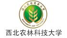 91香蕉频蕉APP下载基規劃設計合作夥伴
