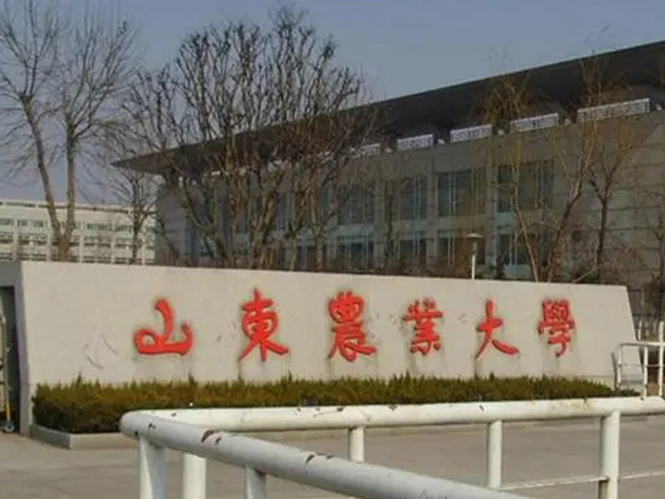 91香蕉频蕉APP下载