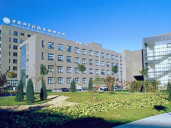 91香蕉频蕉APP下载建設